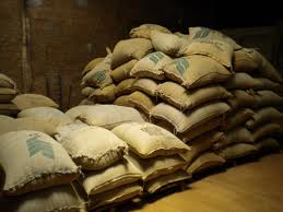 Brasil deverá colher 49,15 milhões de sacas de 60 kg de café em 2013